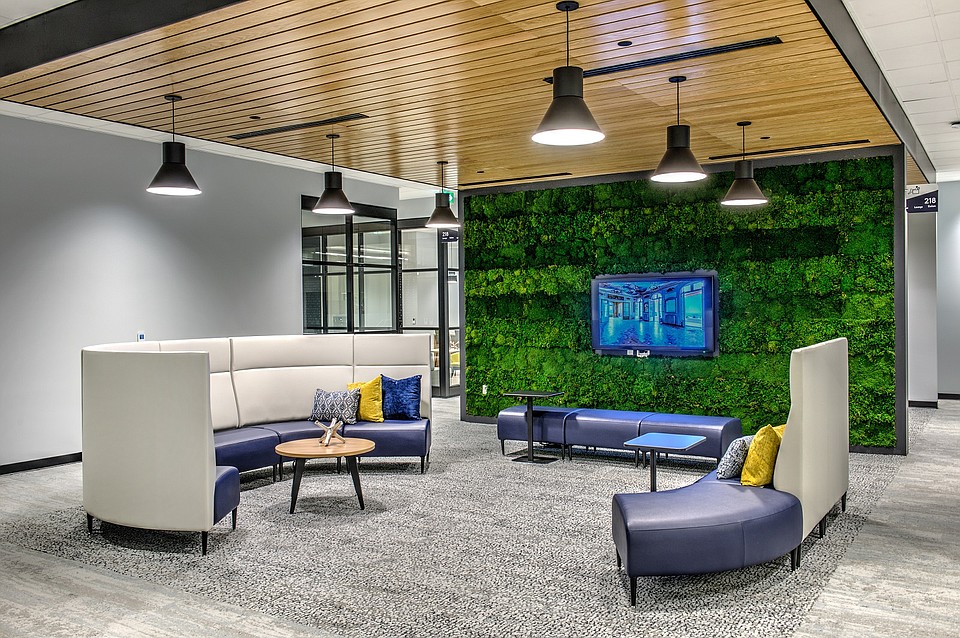 Lighting Sets the Mood for Nature-Inspired Government Co-Working Space